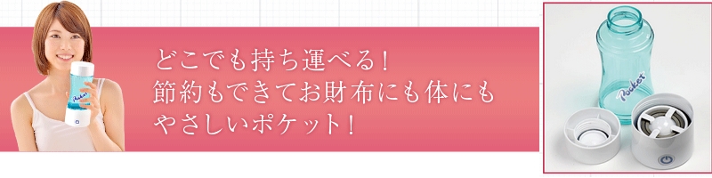 �g�їp���f���T�[�o�[POCKET���T�C�g